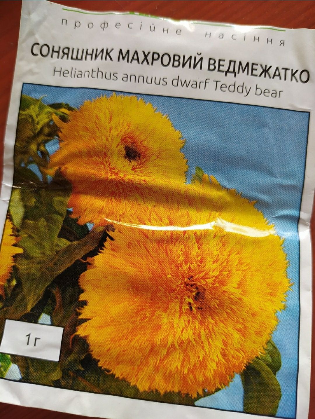Насіння Соняшника