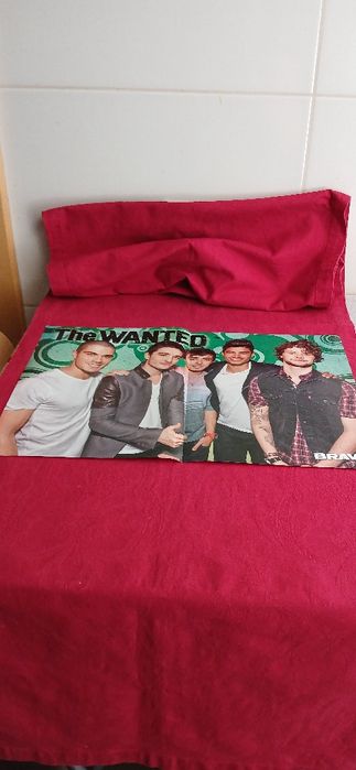 Poster Demi Lovato/The Wanted