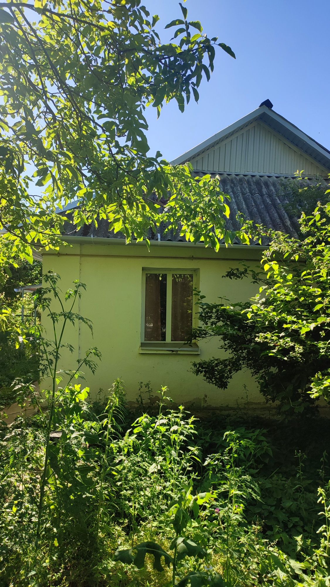 Продаж будинок Давидківці