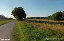 Działki Przemysłowe*atrakcyjne/DK35/* Gniechowice
