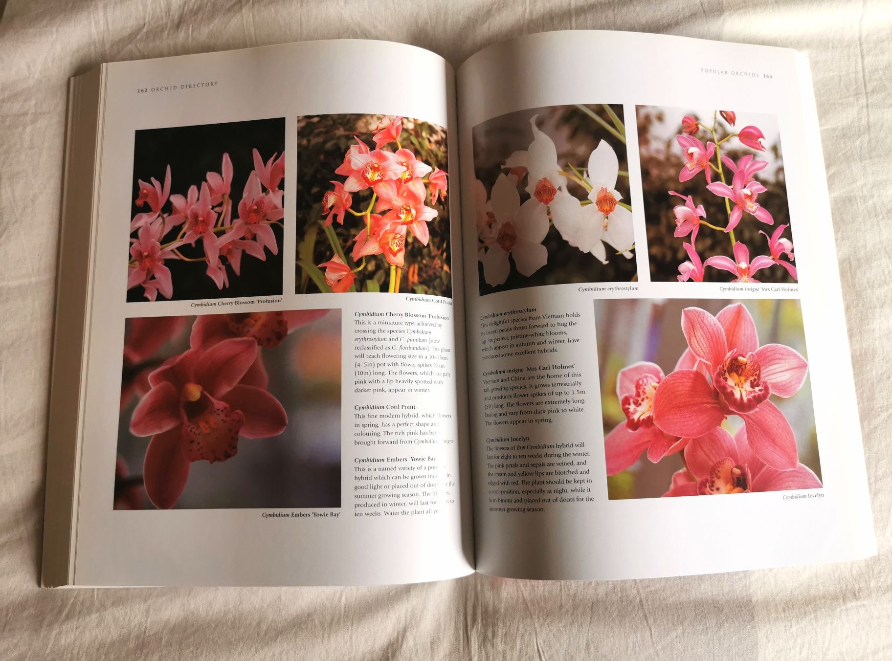 Livro em inglês - Growing Orchids