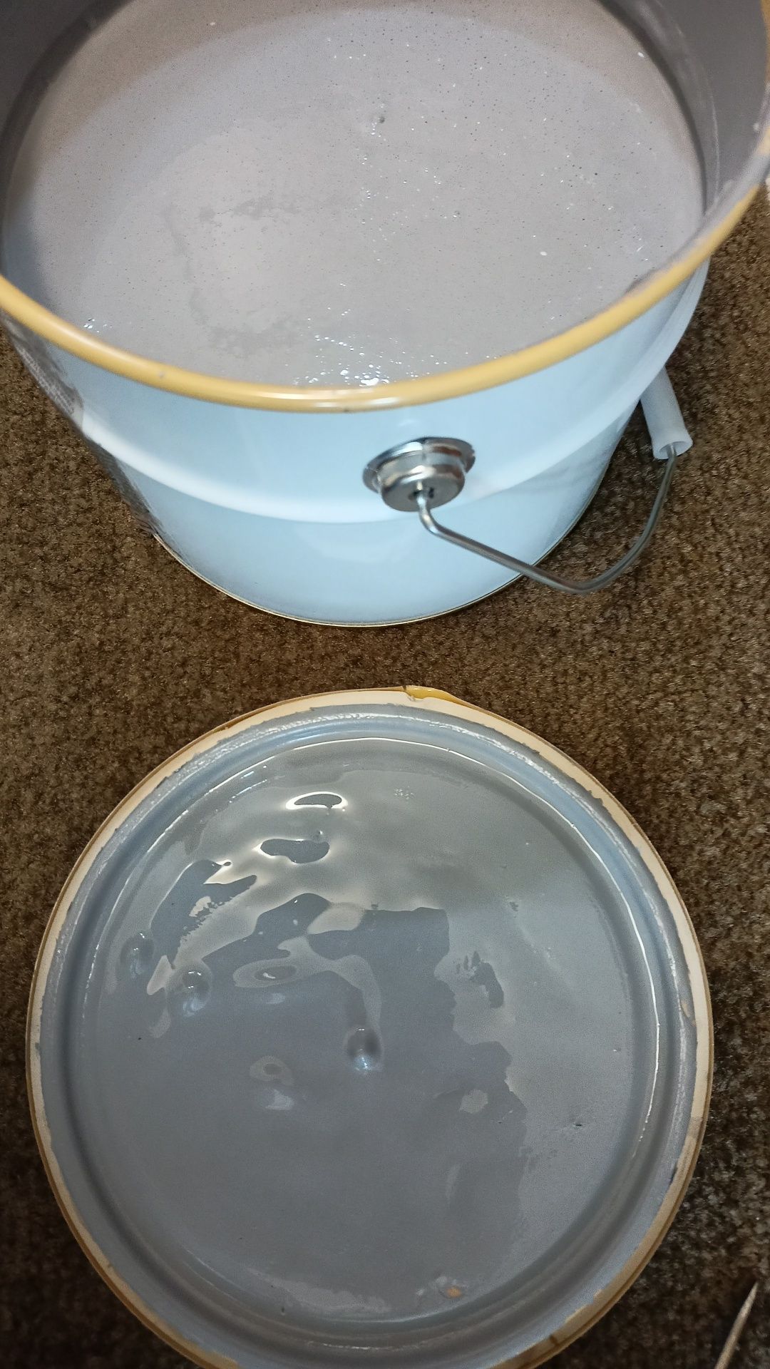 Lakierobejca Jasnoszary 2,5l Lakier Bejca