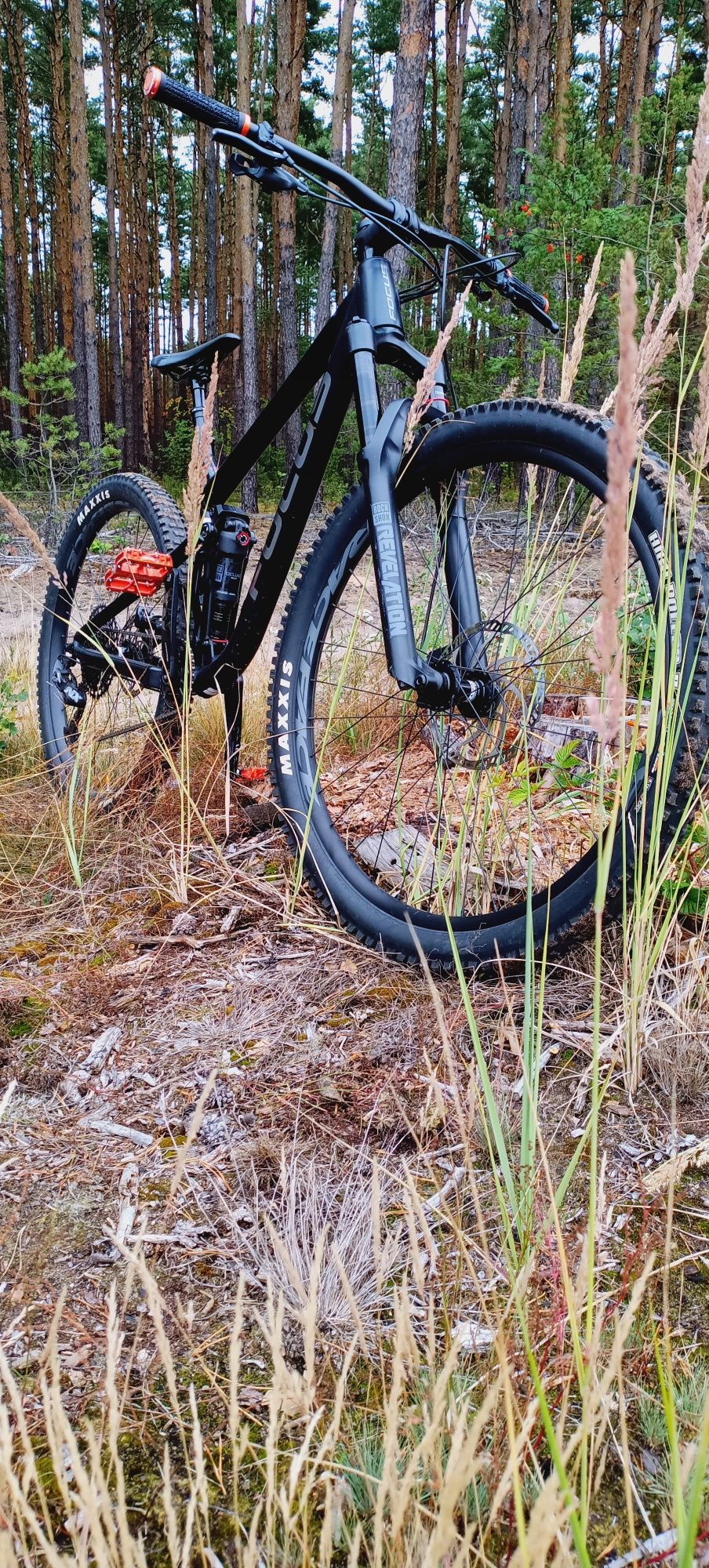 Focus enduro  MTB Super stan.