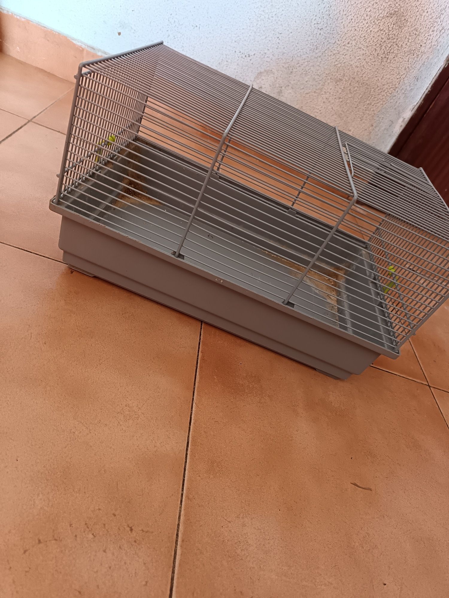 Gaiola para hamster