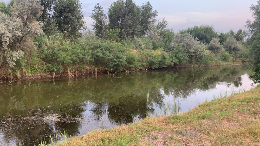 Продам участок со своим берегом в СМТ Обуховка( Кировское)