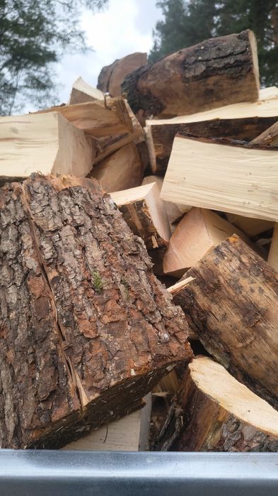 Drewno opałowe Olcha łupana