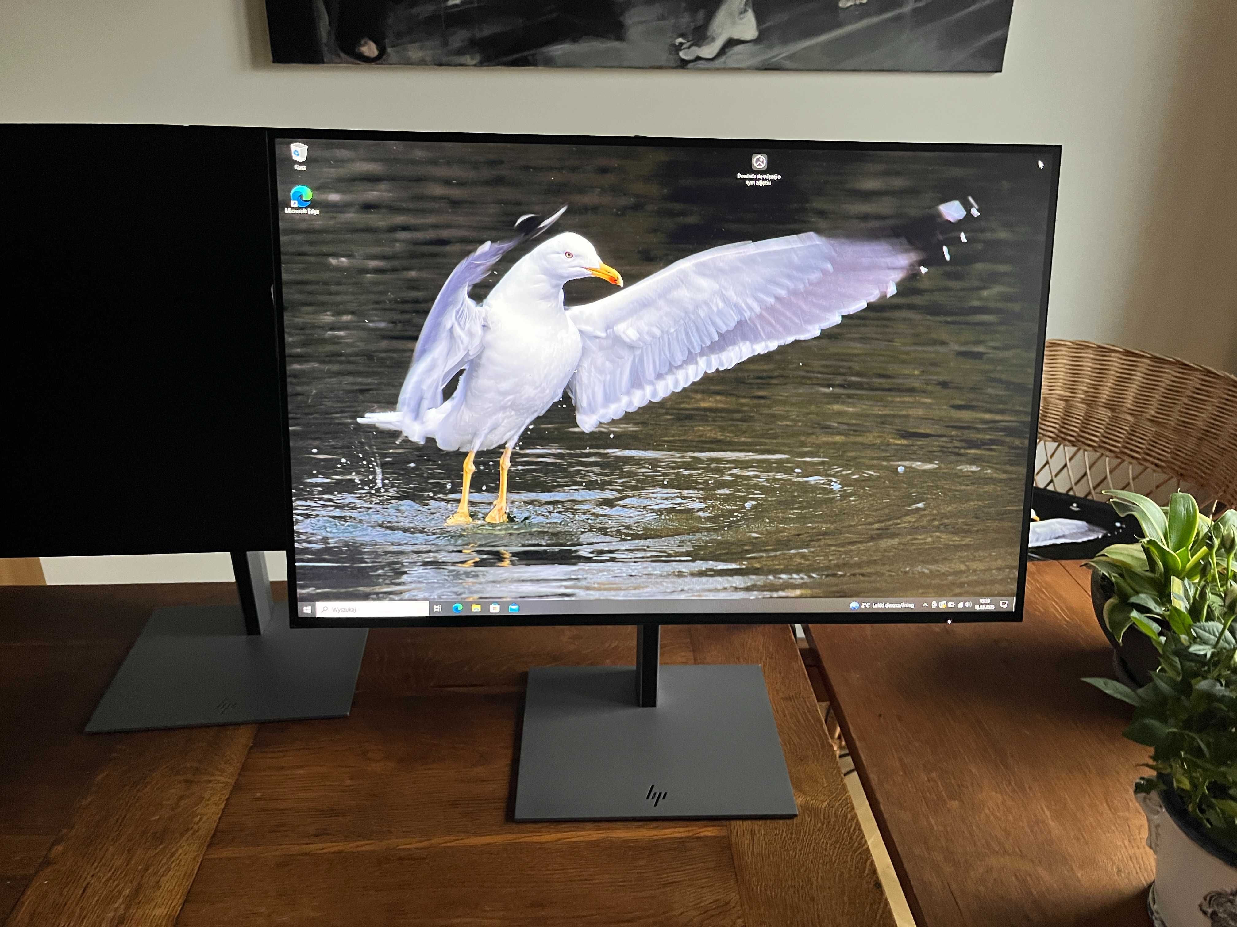 MONITOR 24” HP Z24u G3 16:10 WUXGA 1920x1200 HDMI DP RJ-45 USB-C FV23%