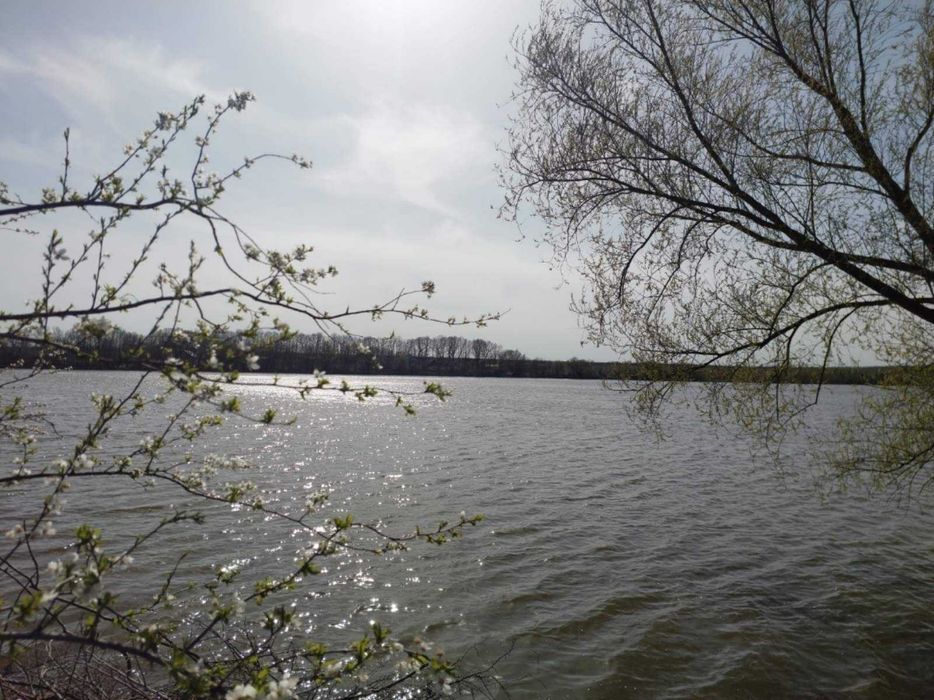 Продам будинок з ділянкою