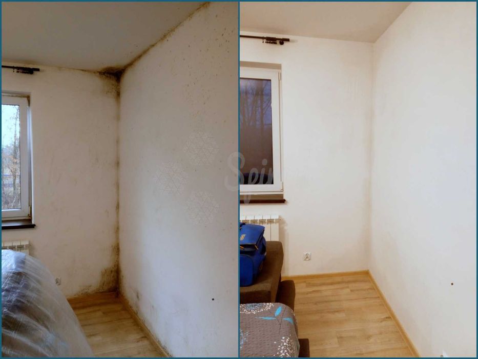 Usuwanie pleśni | Odgrzybianie ścian | Pomiar wilgotności | Termowizja