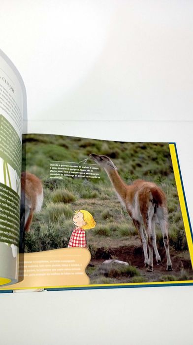 Bem Protegidos - Enciclopédia Juvenil da Natureza