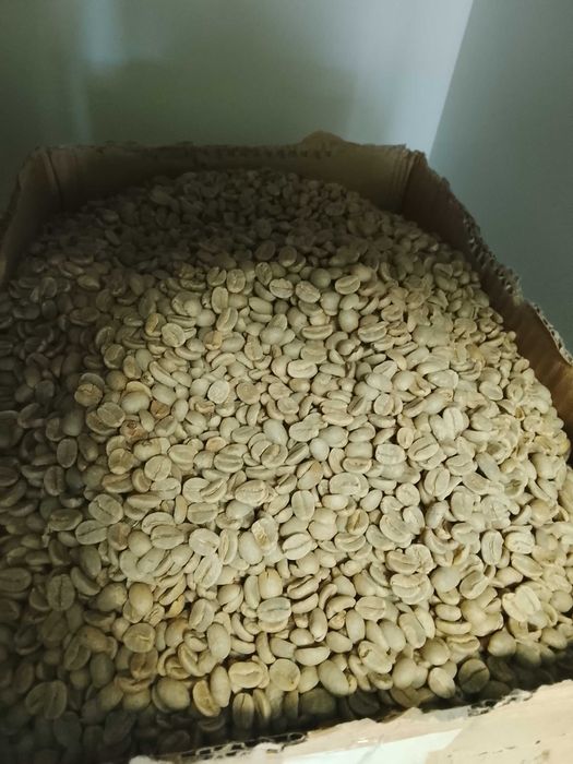 Café puro Arábica de alta qualidade