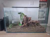 Aquario completo