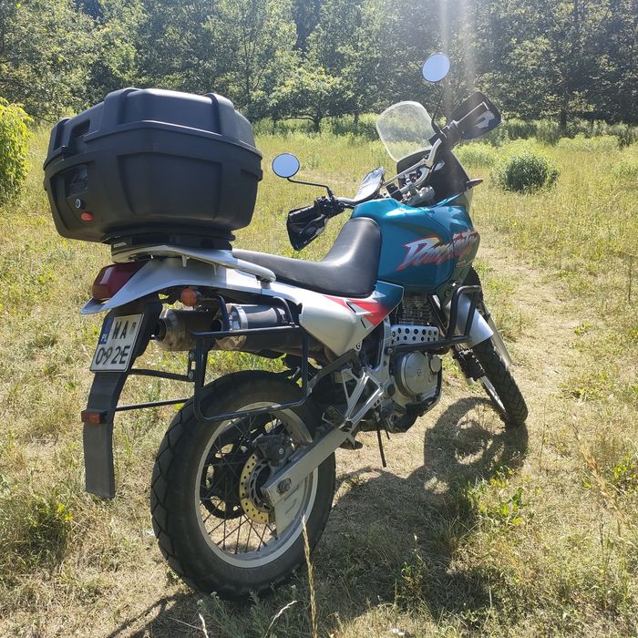 Honda Dominator zarejestrowana