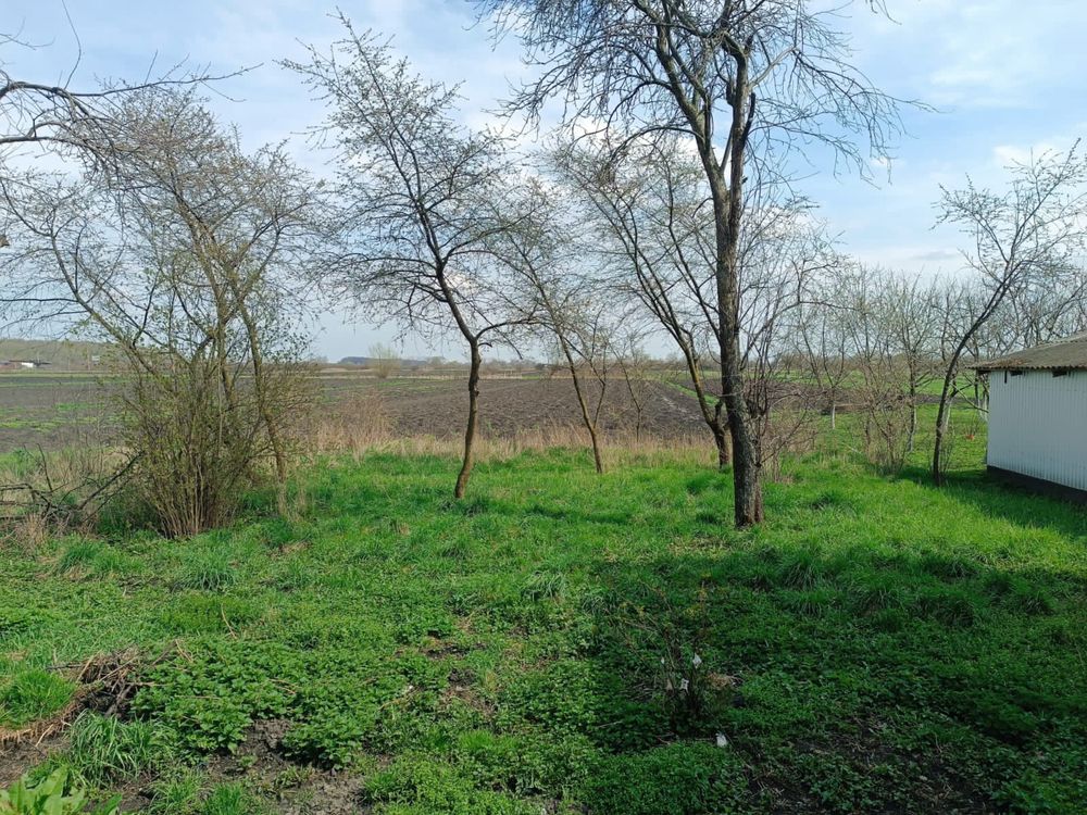 Господарство біля траси Коломия-Чернівці.