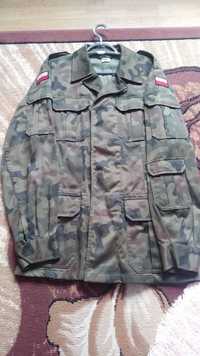 Bluza/kurtka wojskowa męska