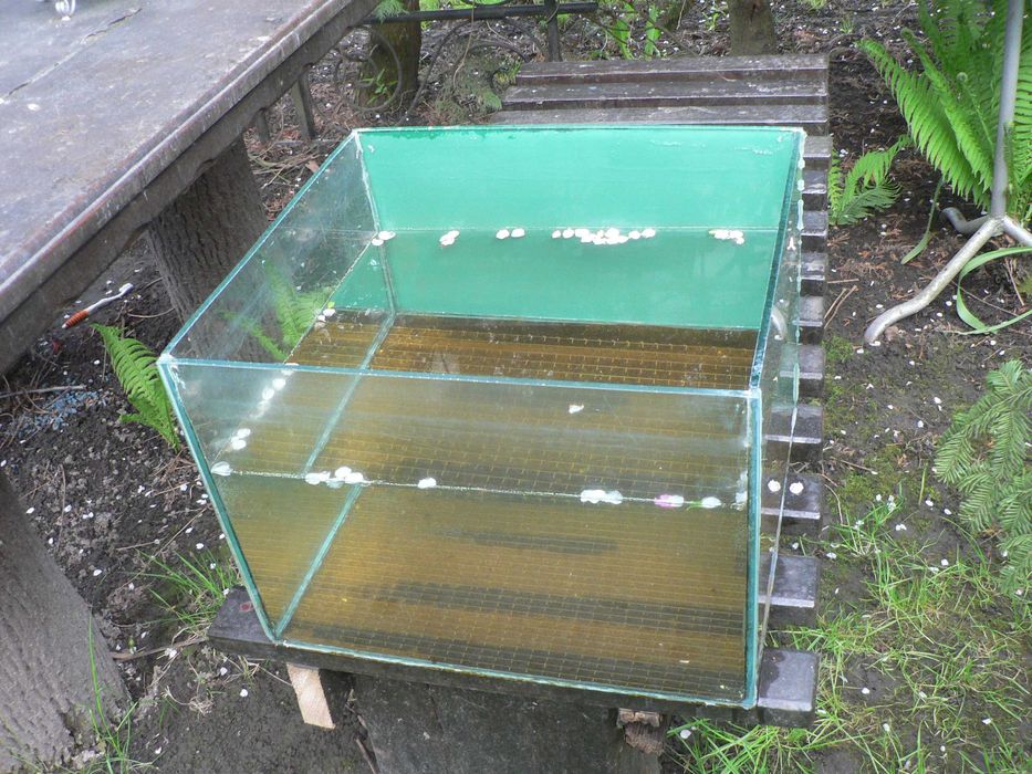 Terrarium 40x35x30