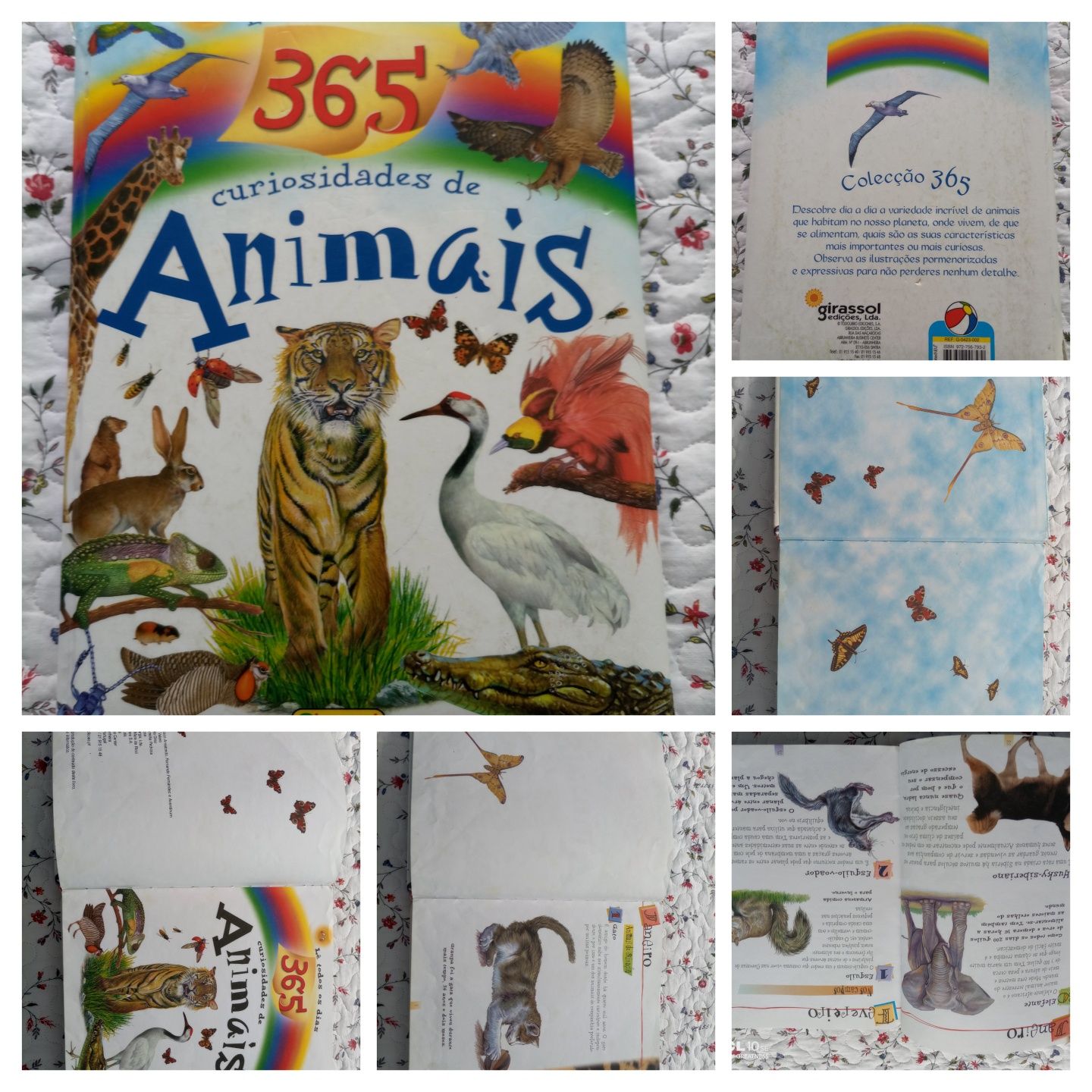 Livro "365 curiosidades de animais"