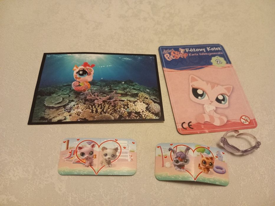 Dodatki petshop na zdjęciu