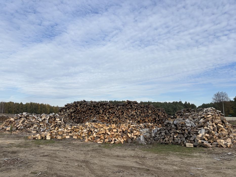 Drewno opałowe sosna olcha brzoza dąb grab buk suche