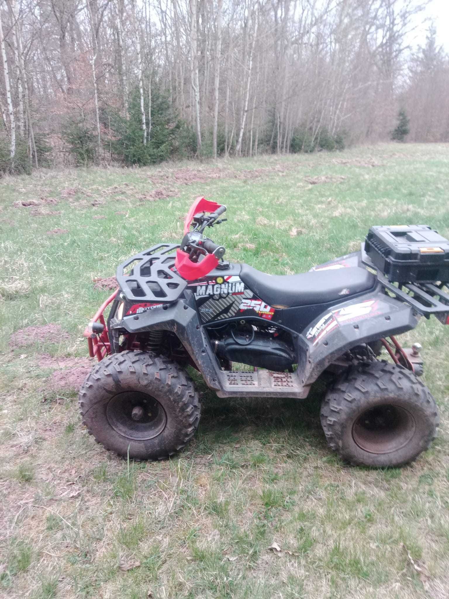 Quad Apollo Magnum 250