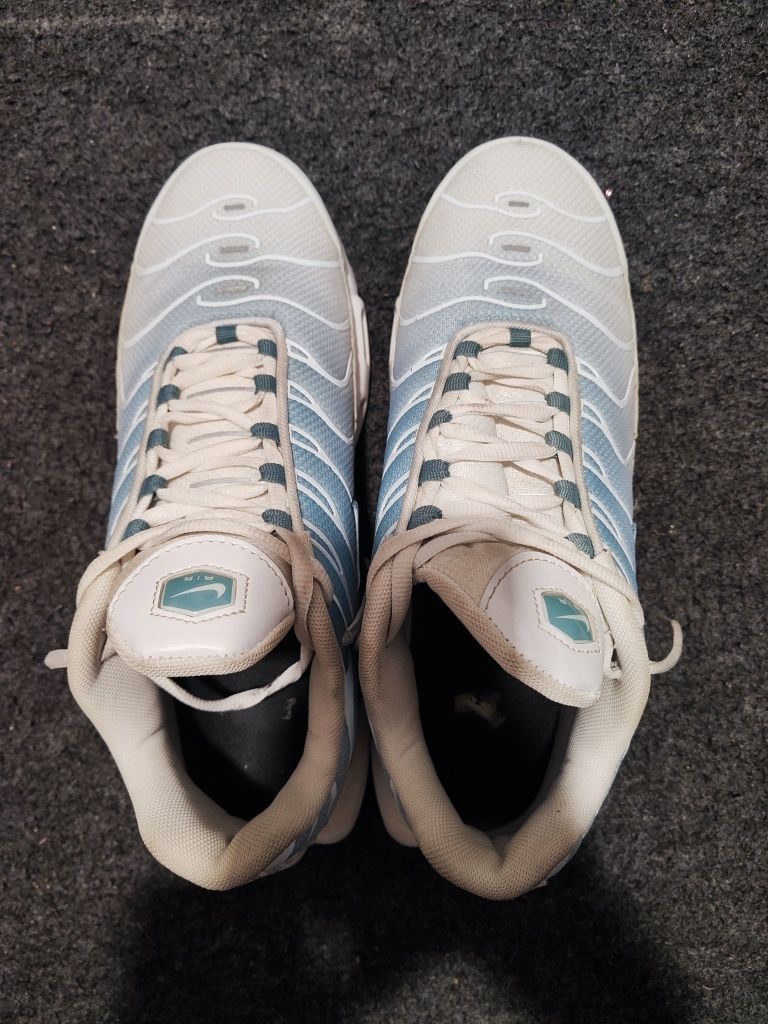 Nike Air Max Tn – Semi Novo