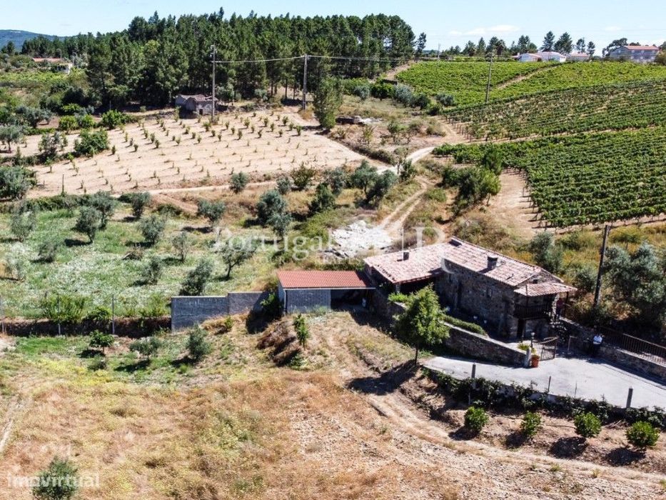 Quintinha rural com 16.000m2 com casa em xisto