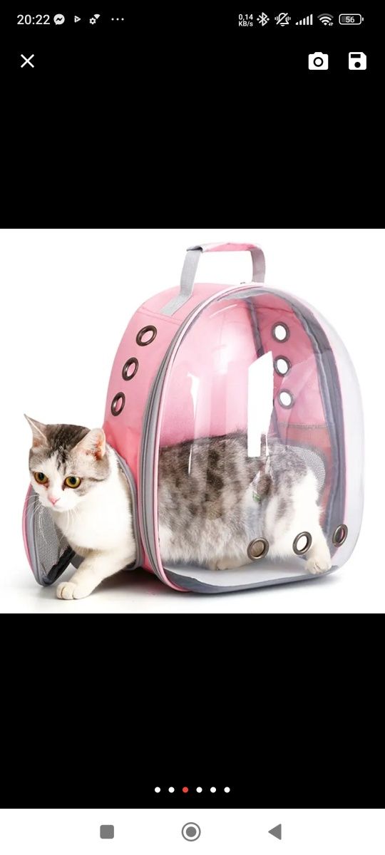 Transporter Plecak dla zwierząt domowych
