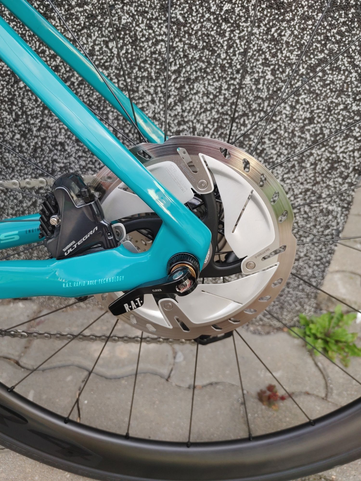 Focus Izalco Max 8.9