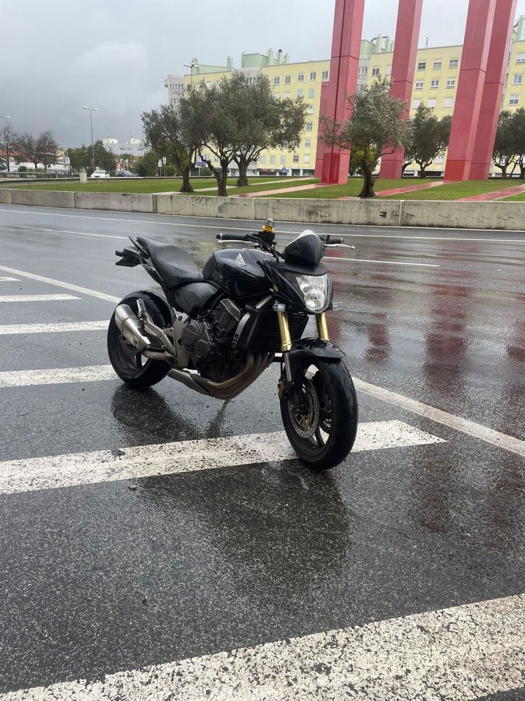 Hornet 600, 2008 honda