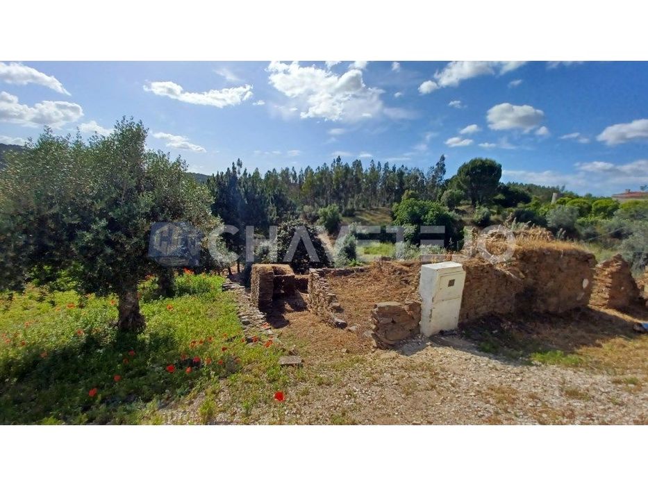 Casa de habitação em ruínas perto da Albufeira de Castelo de Bode.