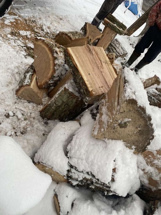 Дрова Колоті,РОЗПродаж,Дуб,Граб,Вільха,Береза,Доска,Пиломатеріали,Балк