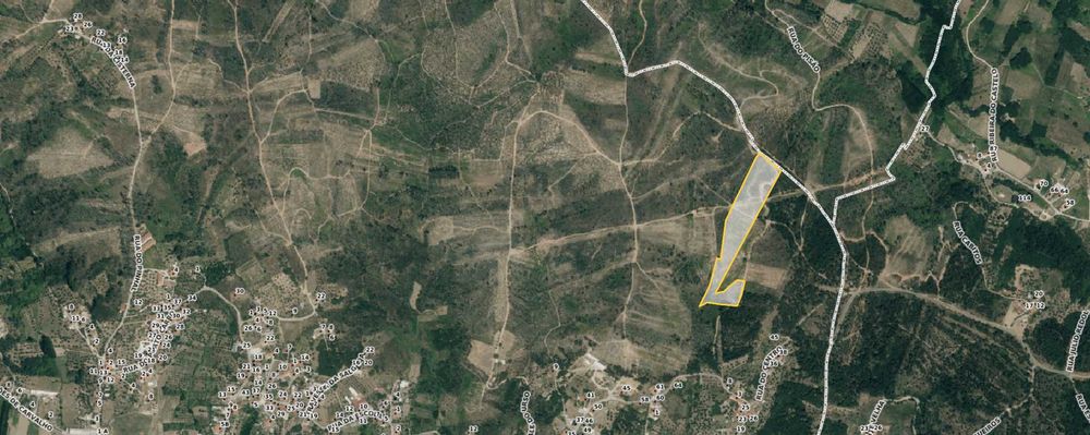 terreno rustico pinhal