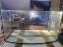 Akwarium 50L  60x24x33