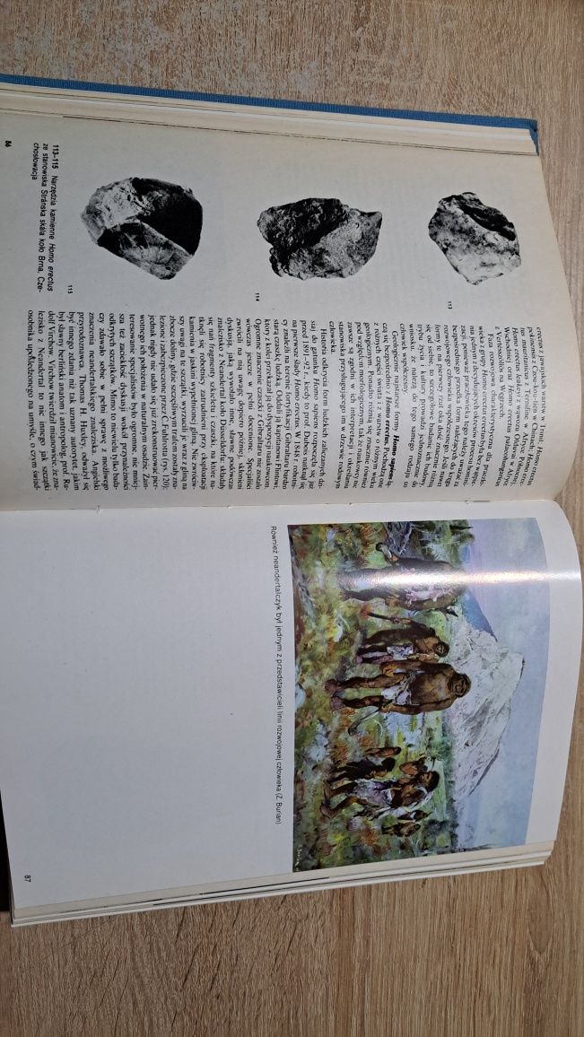 Atlas prahistorii człowieka 1977