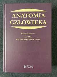 Anatomia Czlowieka Janina Sokołowska-Pituchowa Wydanie VIII