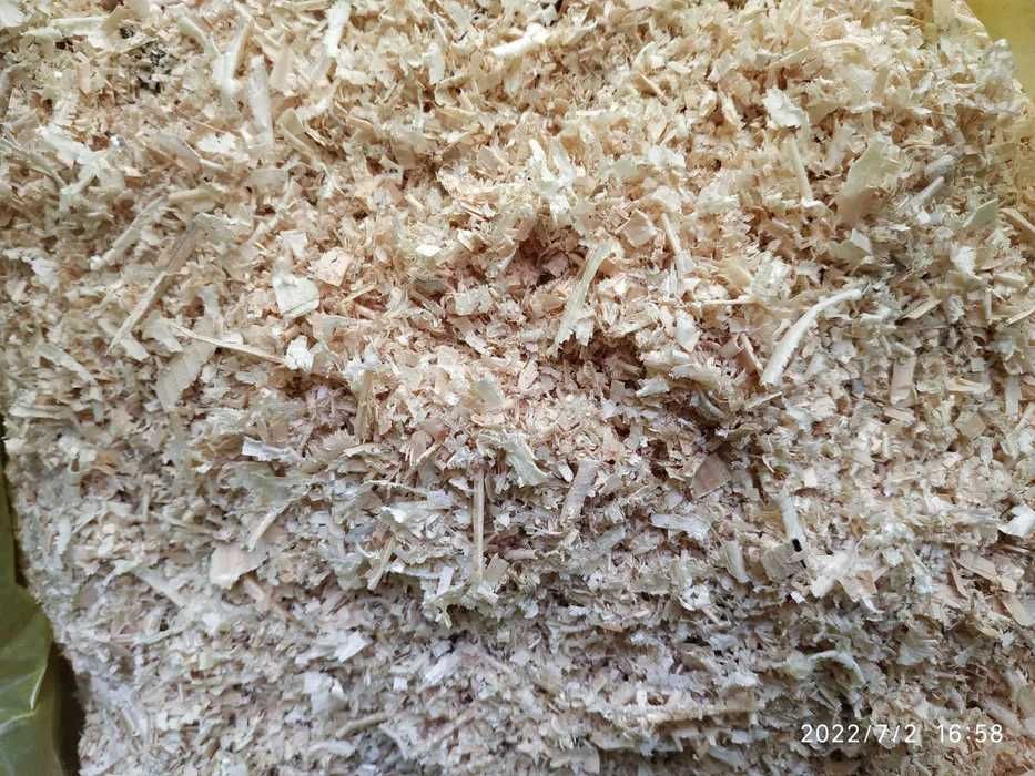 wióry z drewna iglastego ,suche wióry