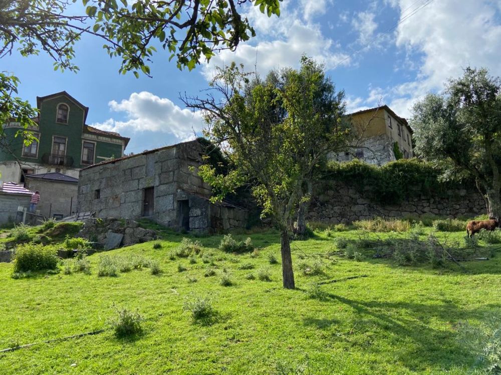 Quinta no Douro com moradia para reconstruir