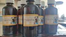 Propolis- naturalny antybiotyk