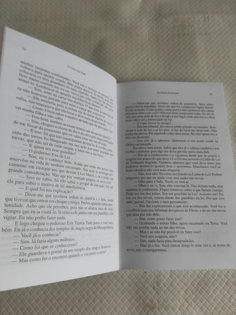 O livro da vida Rubens Saraceni