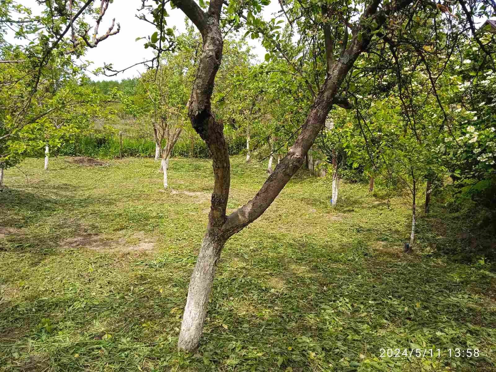 Дача село гараджа