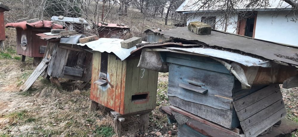 Вулики (пасіка) село Рокитне