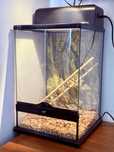 Terrarium Exo Terra Mini Tall 30x30x45 cm + tło, oświetlenie i mata