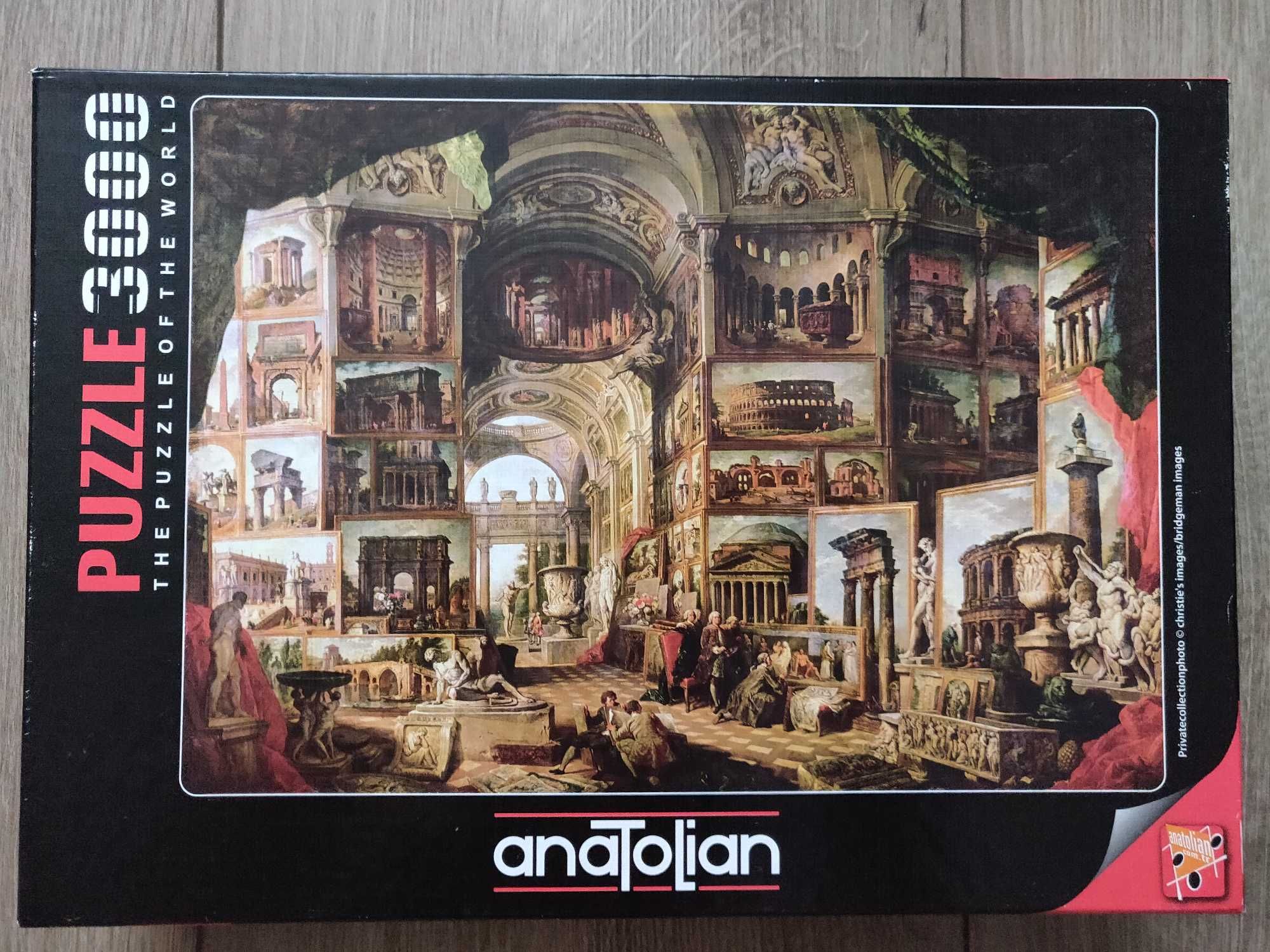 Пазлы Anatolian 3000 элем "Картинна галерея" (4924) 120х85 см.
