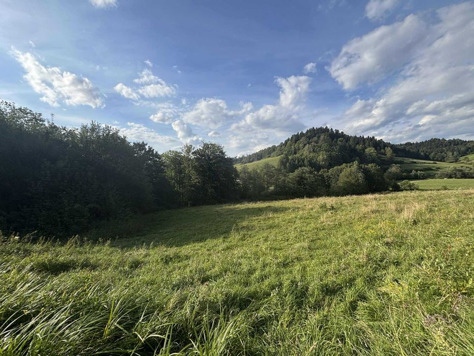 Bieszczady Jezioro Solińskie Zawóz blisko wody - 923m/2