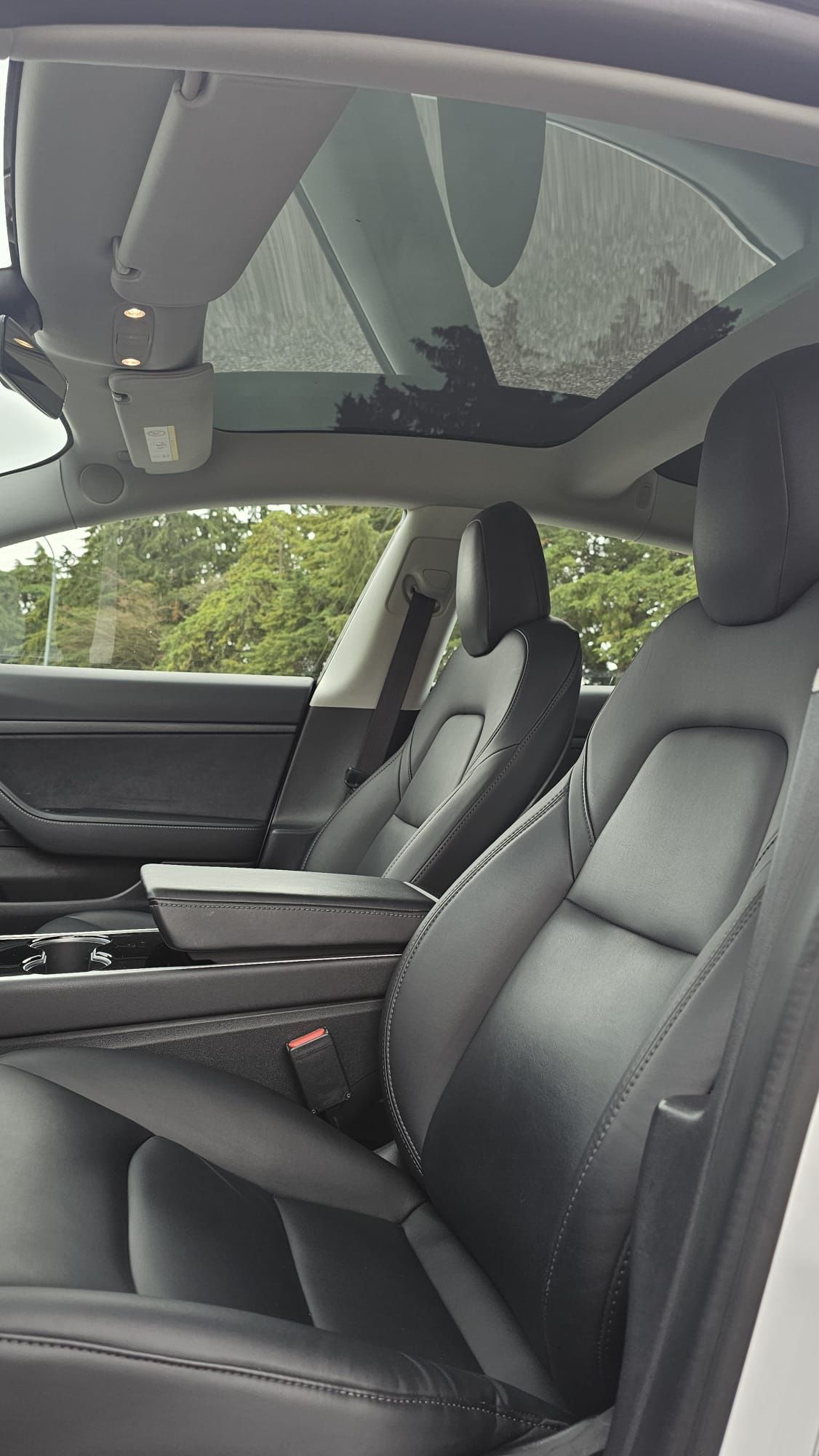 Tesla Model 3 Standard Range Plus RWD 2020