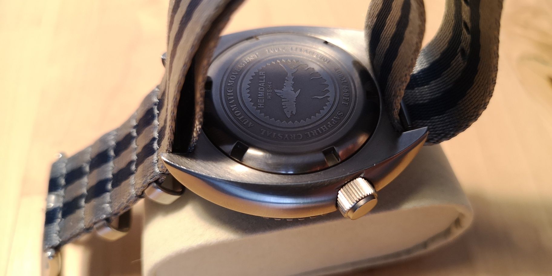 Zegarek custom King Turtle/Manta Ray Save The Ocean/Titanium/Automatic