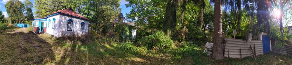 Будинок з ділянкою 100 соток