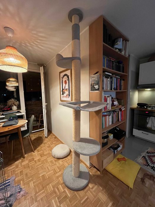 Drapak sufitowy rozporowy dla kota od ani-life