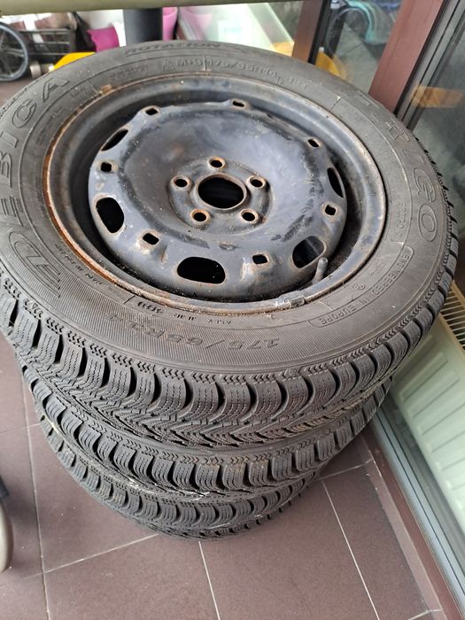 Opony zimowe z felgami Dębica 175 65 R14 Frigo 2