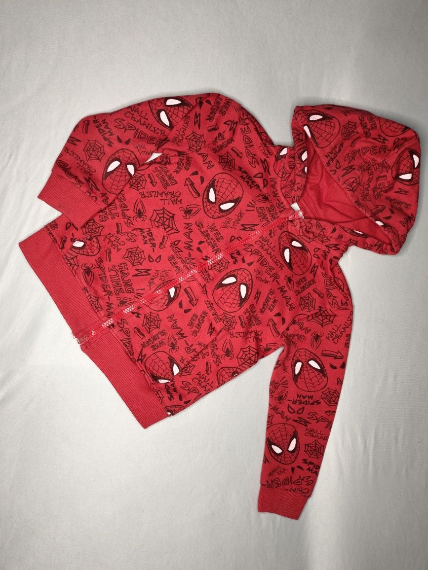 Bluza Spiderman 104